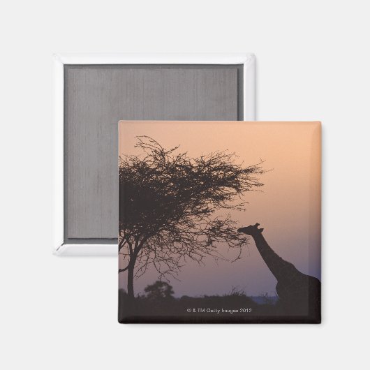 キリン2 マグネット (正面/裏面)