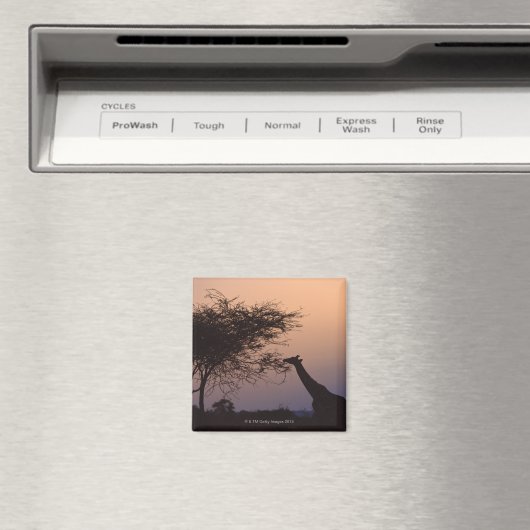 キリン2 マグネット (インサイチュ (食洗機))