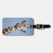 キリン2 ラゲッジタグ (正面横)