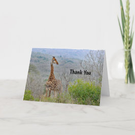 キリン4サンキューカード サンキューカード