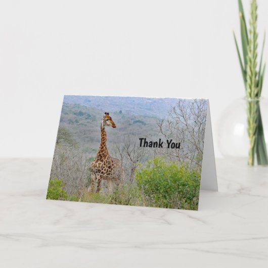 キリン4サンキューカード サンキューカード (正面)