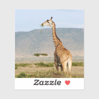 キリン・アフリカ シール