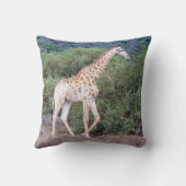 キリン・イン・ザ・ワイルド クッション (裏面)