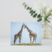 キリン・カップルポートレートアオブザブルースカイ ポストカード (スタンド正面)