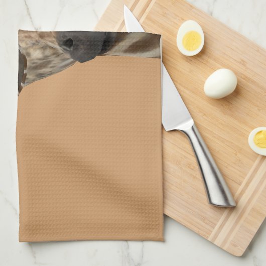 キリン キッチンタオル (四つ折り)