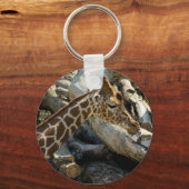 キリン キーホルダー (正面)