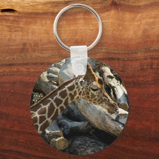 キリン キーホルダー (正面)