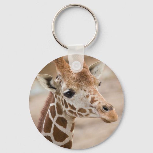 キリン キーホルダー (正面)