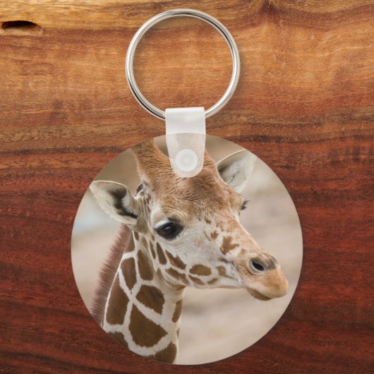 キリン キーホルダー (正面)