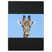 キリン クリップボード (裏面)