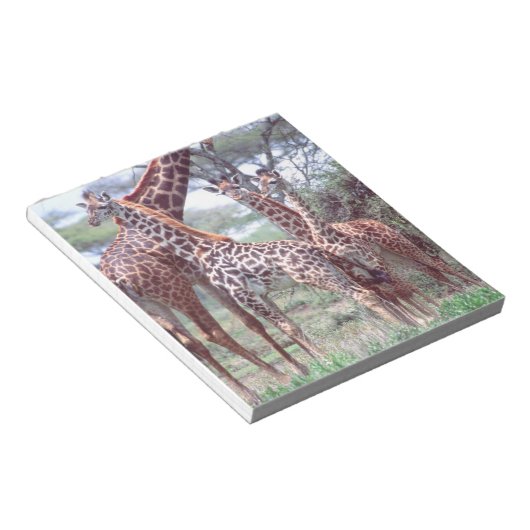 キリン・グループまたは群れ若い、キラファ ノートパッド (アングル)