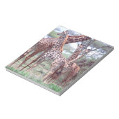 キリン・グループまたは群れ若い、キラファ ノートパッド (回転)