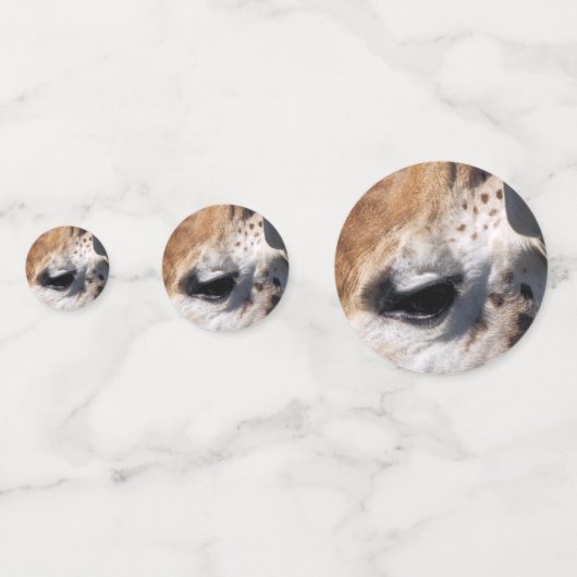 キリン コンフェッティ (正面)