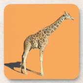 キリン コースター (正面)