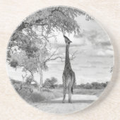 キリン コースター (正面)