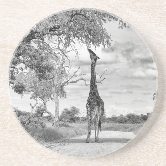 キリン コースター (正面)