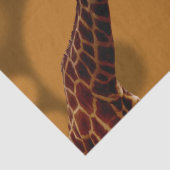 キリン・セルフ・リフレクション 薄葉紙 (詳細)