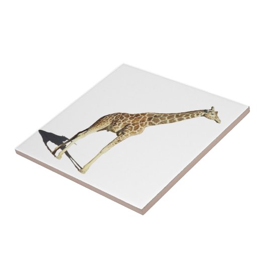 キリン タイル (側面)