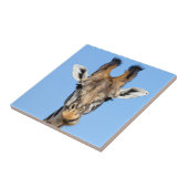 キリン タイル (側面)