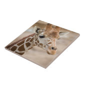 キリン タイル (側面)