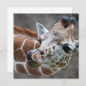 キリン·タング·招待状 招待状 (正面/裏面)