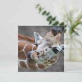 キリン·タング·招待状 招待状 (スタンド正面)