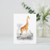 キリン – チャールズ・デッサリーヌ・ドルビニーヴィンテージ・アート ポストカード (スタンド正面)