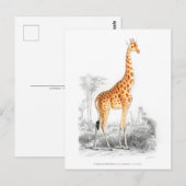 キリン – チャールズ・デッサリーヌ・ドルビニーヴィンテージ・アート ポストカード (正面/裏面)