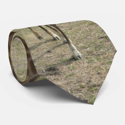 キリン ネクタイ (ロール)