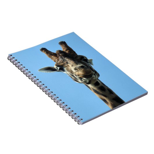 キリン ノートブック (右側)