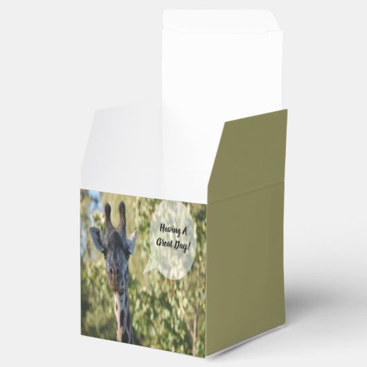 キリン フェイバーボックス (オープン)