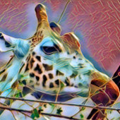 キリン フォトブロック