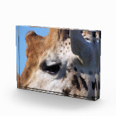 キリン フォトブロック (右)