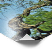 キリン フォトプリント            (角)