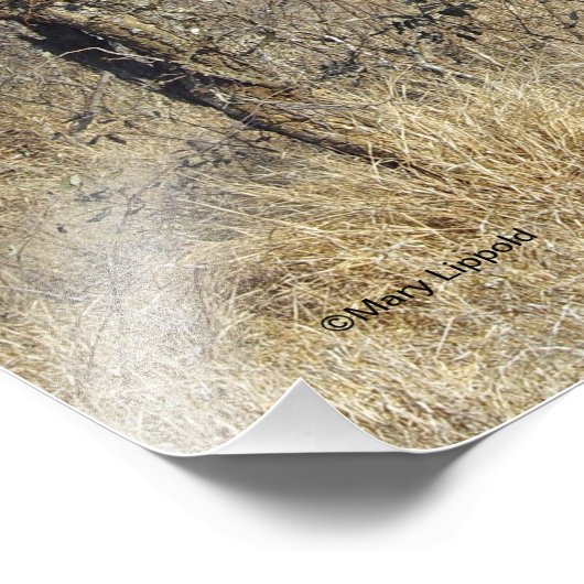 キリン フォトプリント            (角)