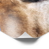 キリン フォトプリント            (角)