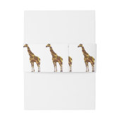 キリン・ブラウンとイエローシルエット 招待状ベリーバンド (裏面例)