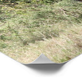 キリン ポスター (角)