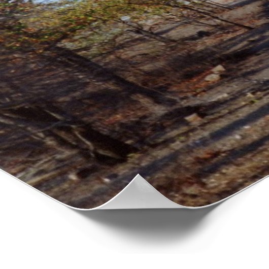 キリン ポスター (角)