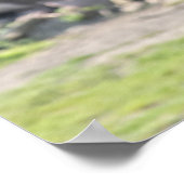 キリン ポスター (角)