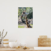 キリン ポスター (キッチン)