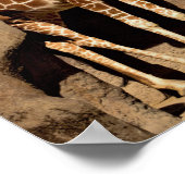 キリン ポスター (角)