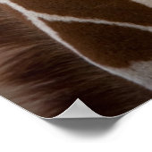 キリン ポスター (角)