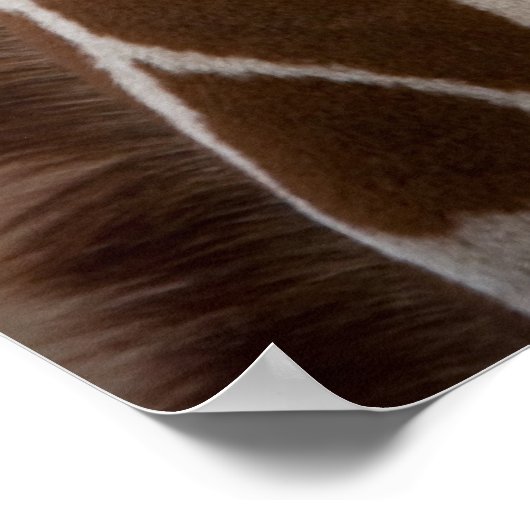 キリン ポスター (角)