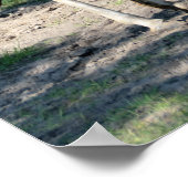 キリン ポスター (角)