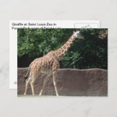 キリン ポストカード (正面/裏面)