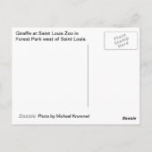 キリン ポストカード (裏面)