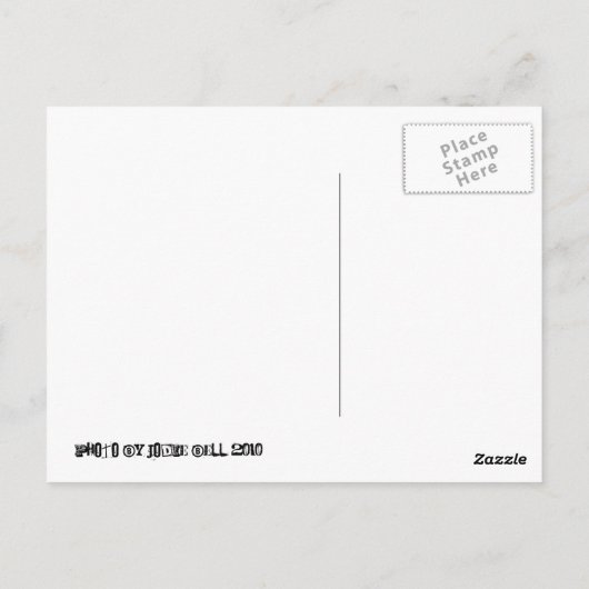 キリン ポストカード (裏面)