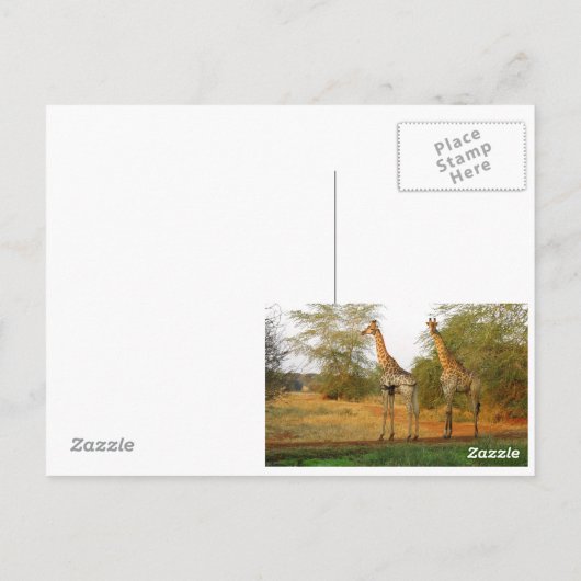 キリン ポストカード (裏面)