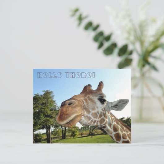 キリン ポストカード / こんにちは! (スタンド正面)